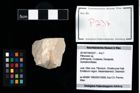 Foto (Objekt + Etikett) von Pithonoton sp.  (NHMW-GEO-2014-0194-0237)